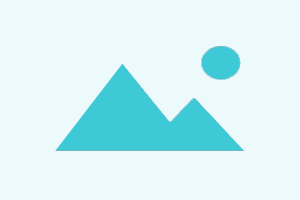 Xiaomi Service Tool (XST)